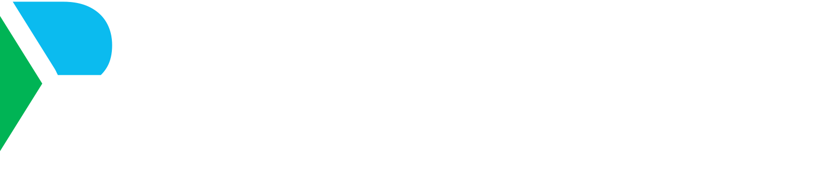 bowdun-logo-white1-1